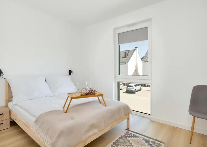 Dorsza View By Solarento